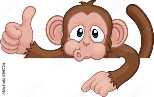 Monkey Cartoon Character Animal Pointing At Sign photo