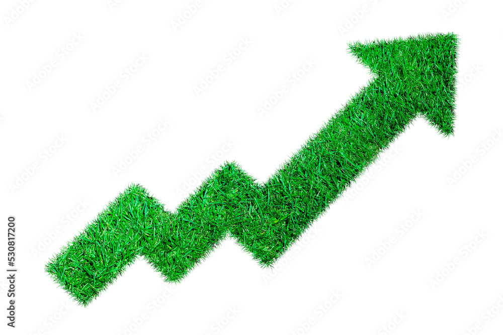 growth diagram of grass on white background growth diagram of grass on white background