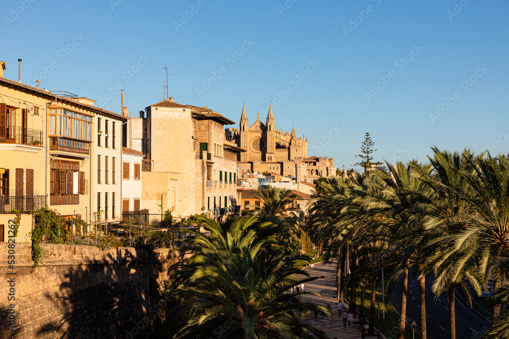 Paseo marítimo de Palma de Mallorca, con la catedral al fondo y las palmeras bordeando la acera. Mallorca, Islas Baleares, España.