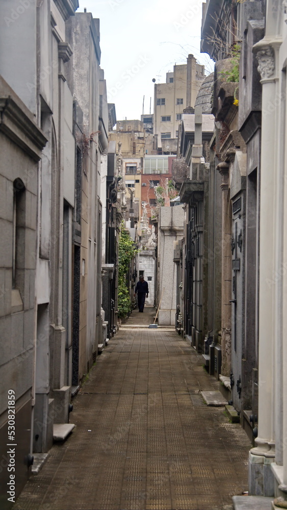 Fototapeta premium Tombs along an alley in La Recoleta Cemetery in Buenos Aires, Argentina