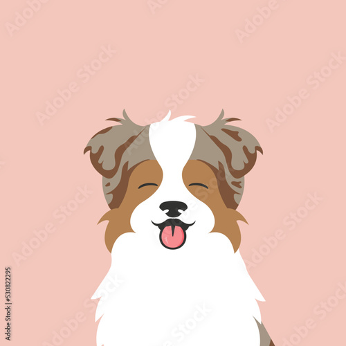 A portrait of a muzzled dog.  Australian shepherd brown smiling with tongue out. Pets, dog lovers, flat vector style.