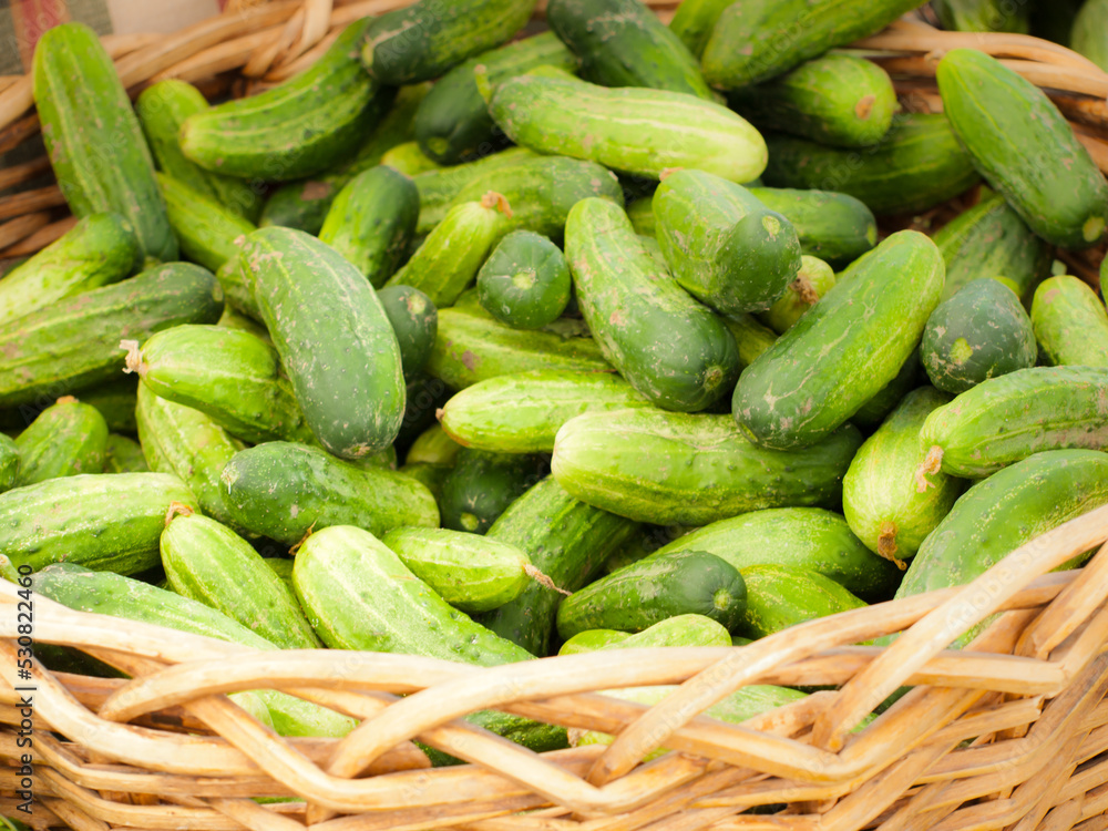 Fresh pickles Fresh pickles