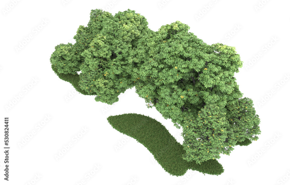 Forest on transparent background. 3d rendering - illustration Forest on transparent background. 3d rendering - illustration