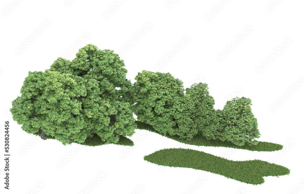 Forest on transparent background. 3d rendering - illustration Forest on transparent background. 3d rendering - illustration