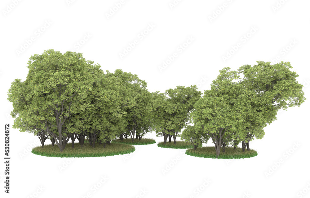 Forest on transparent background. 3d rendering - illustration Forest on transparent background. 3d rendering - illustration