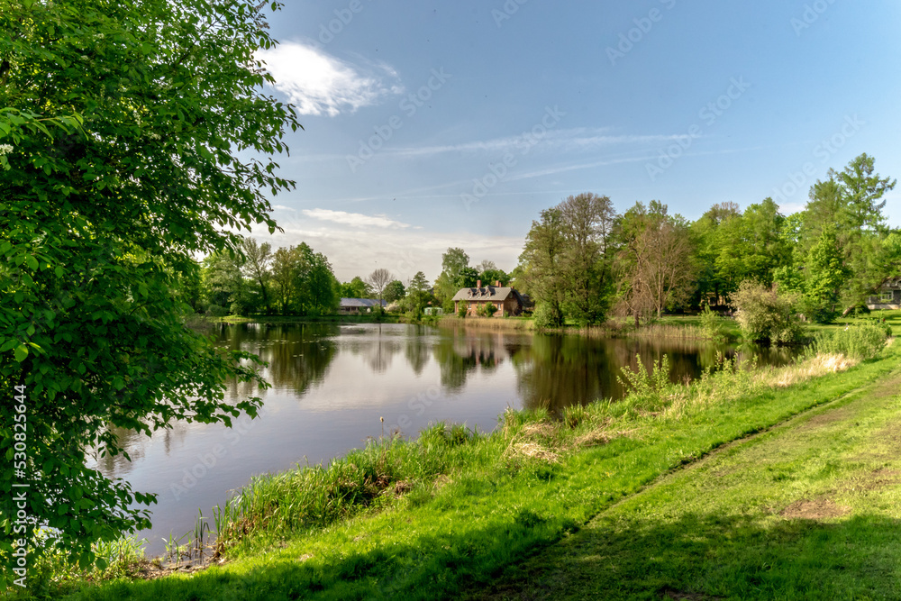 Fototapeta premium lake in the park