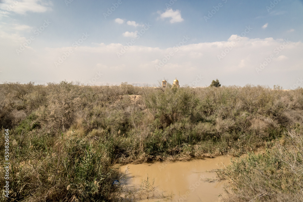 Obraz premium Bushes