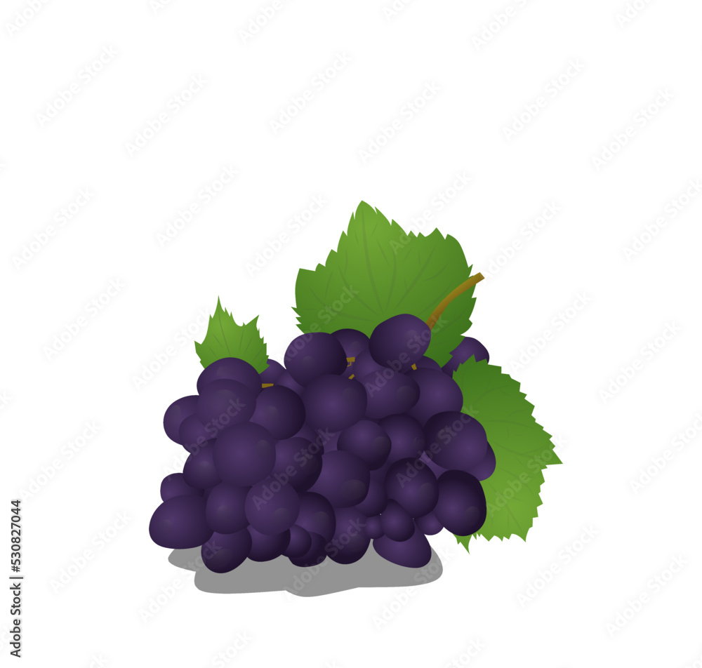 Fototapeta premium bunch of grapes