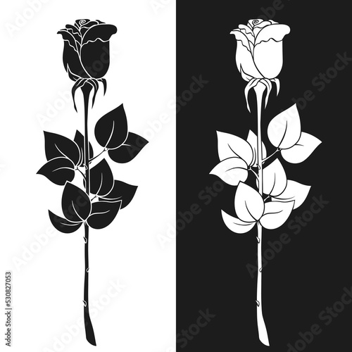 Rose flower black and white silhouette. Hand drawn sketch of rose plant with stem, leaves and thorns. Vector decorative isolated element for floral print, romantic design, wedding or greeting card.