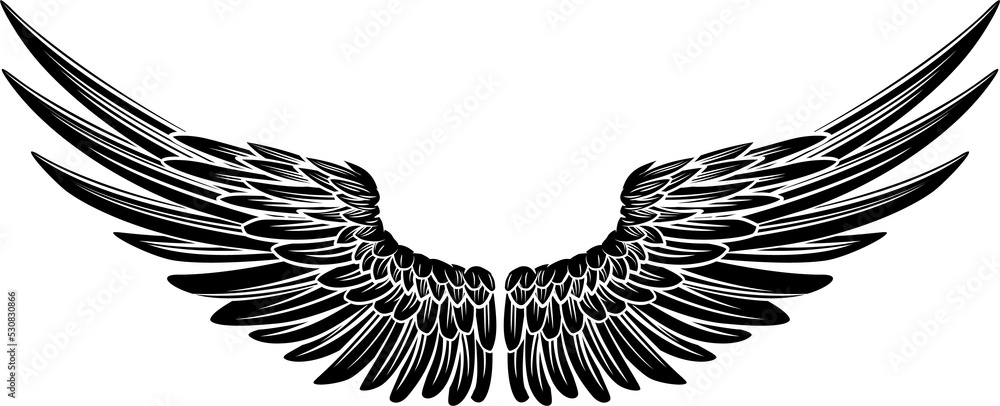 Fototapeta premium Eagle Bird or Angel Wings