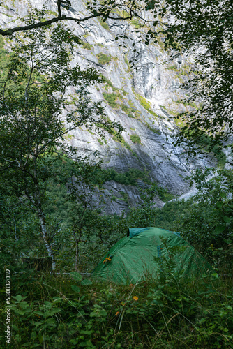 Wild camping  tent on nature Norway mountains with tree in green garden or forest for holiday relax and vacation travel trip to trekking picnic on meadow grass