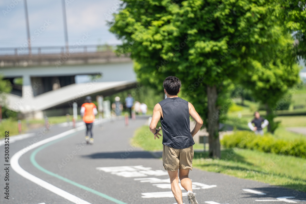 手賀大橋に向かって、初夏の緑の中をジョギング