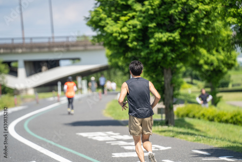 手賀大橋に向かって、初夏の緑の中をジョギング