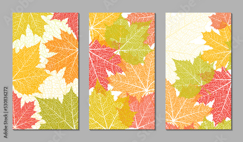 Floral vector templates with autumn leaves. Plant print for holiday stories, greeting cards, banners. Natural trendy web-design. Set of textured backgrounds. Botanical art.