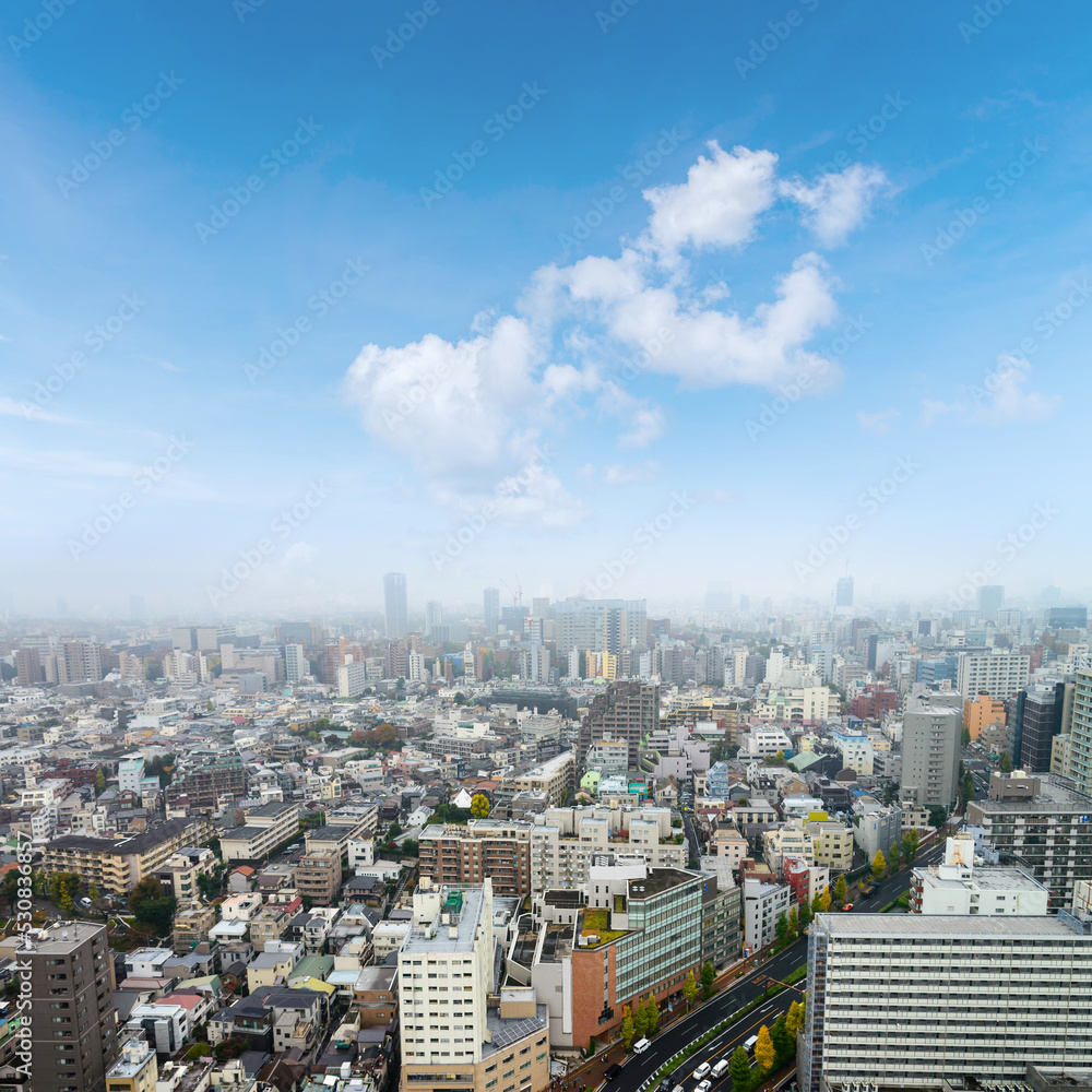 Obraz premium Cityscape of Tokyo city, japan. Aerial skyscraper view of office building and downtown of tokyo