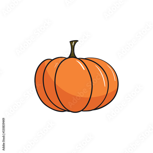 yellow pumpkin (Cucurbita moschata) is isolated on white background.