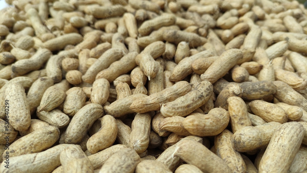Peanut in the shell. Food background of peanuts, healthy vegan food Peanut in the shell. Food background of peanuts, healthy vegan food