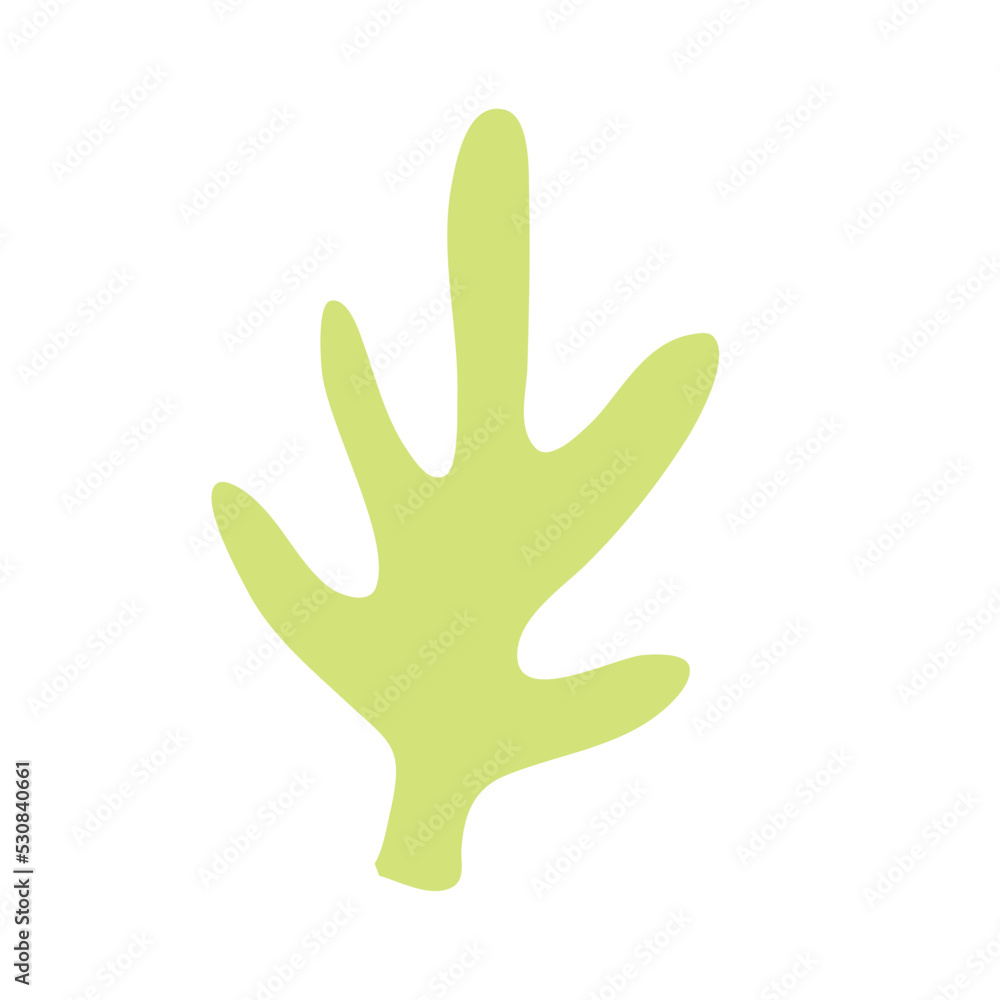 Obraz premium Cactus suculent decoration