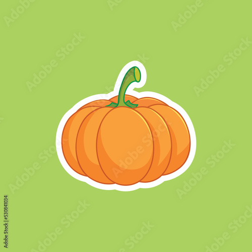 yellow pumpkin (Cucurbita moschata) is isolated on green background.
