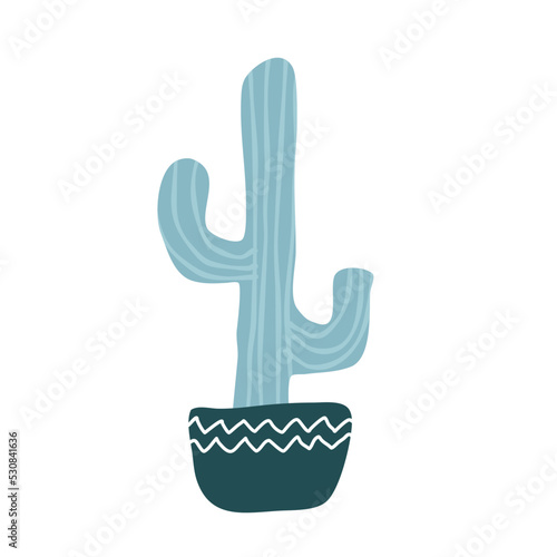 Cactus suculent decoration