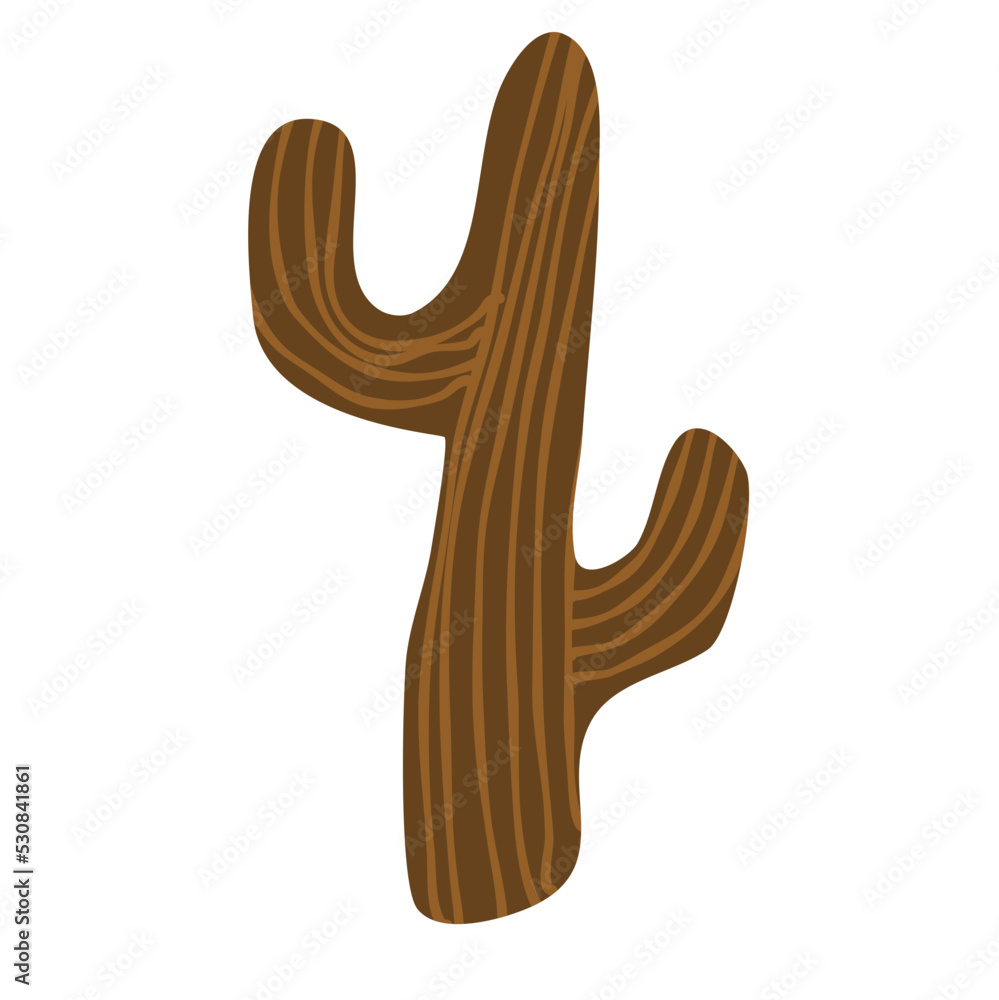 Obraz premium Cactus suculent decoration