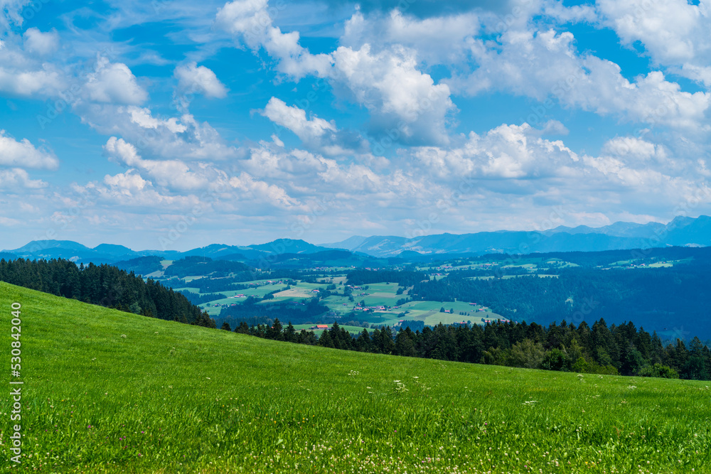 Germany, Panorama view above tree tops, forest and pastures at bodensee lake nature landscape with water and blue sky in summer in allgaeu region