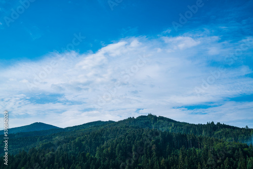 Germany, Schwarzwald black forest panorama landscape view above beautiful nature tree tops and forest in early morning after sunrise
