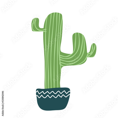 Cactus suculent decoration photo