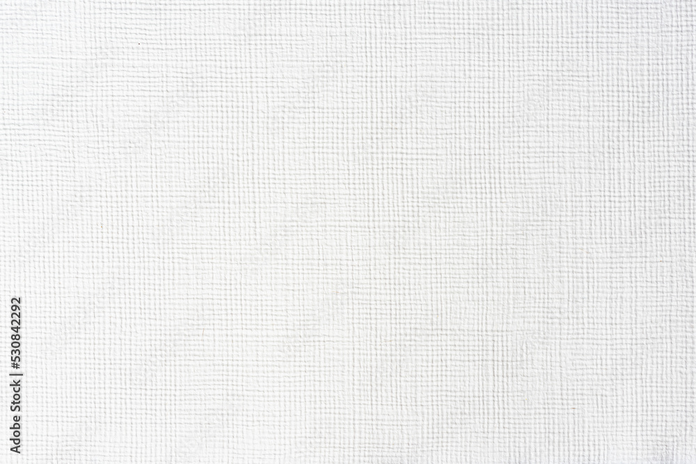 White watercolor paper texture. Paper Background White watercolor paper texture. Paper Background