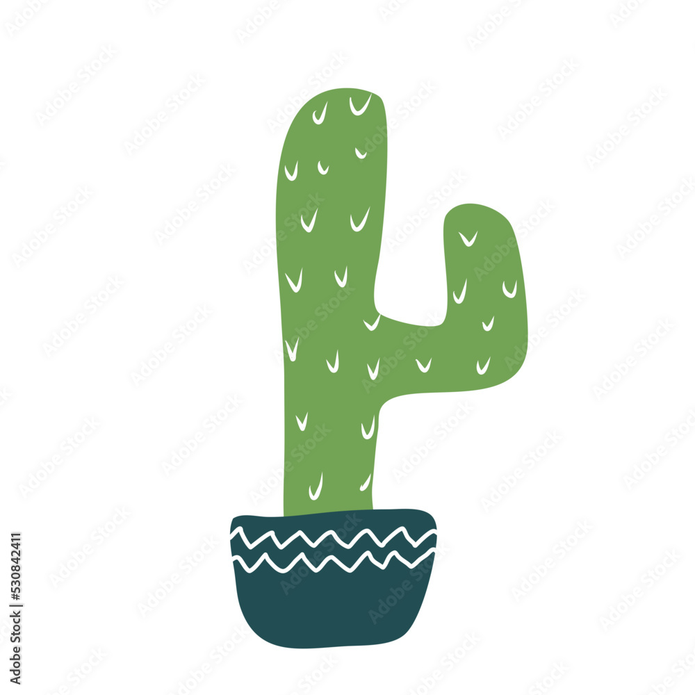 Cactus suculent decoration Cactus suculent decoration