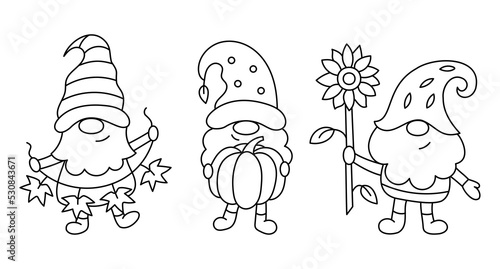 Cute autumn gnomes. Ideal for coloring books, stamps, invitations and others. Doodle style. Outline vector illustration.