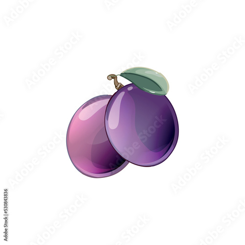 purple plum (Prunus domestica prem) isolated on a white background