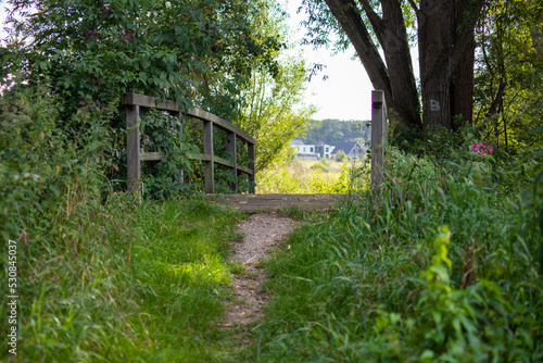 Wooden bridge in the forest over a small stream