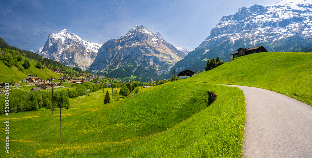 alpine meadow in Grindelwald village with path and Eiger mountain in Switzerland