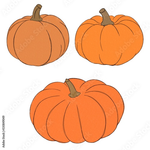 Pumpkin watercolor drawing free hand. Pumpkin for Thanksgiving. Bright pumpki...