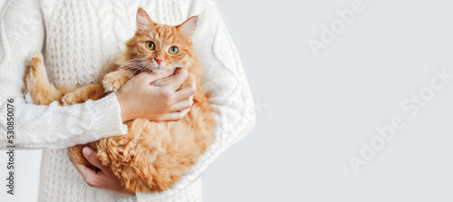 Woman in white cable-knit sweater holds ginger cat on hands. Fluffy pet with scared face expression. Light banner with copy space.