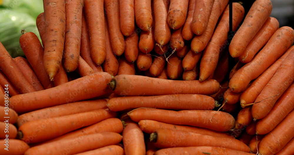 Many carrots piled together at grocery store on display Many carrots piled together at grocery store on display
