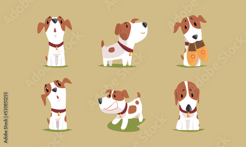 Jack Russell Terrier Dog with Cute Snout Wearing Collar Engaged in Different Activity Vector Set