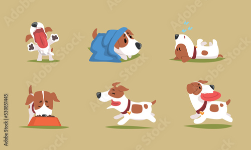 Jack Russell Terrier Dog with Cute Snout Wearing Collar Engaged in Different Activity Vector Set