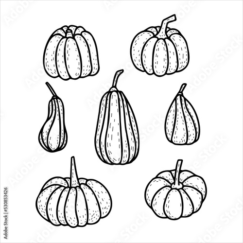 Sketch doodle pumpkins for decoration design