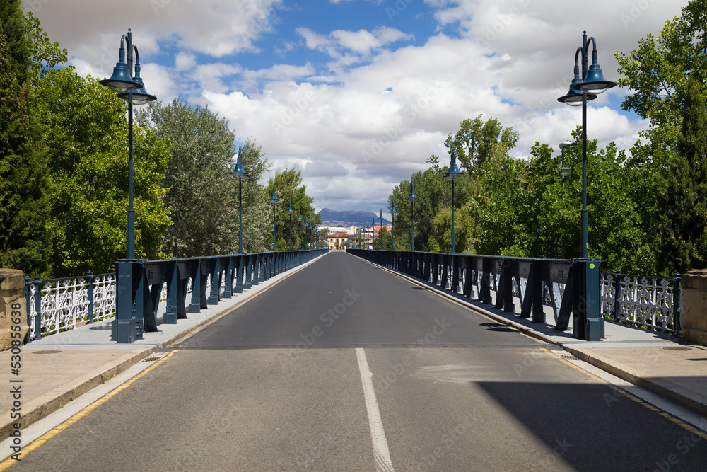 The Iron Bridge of Logroño