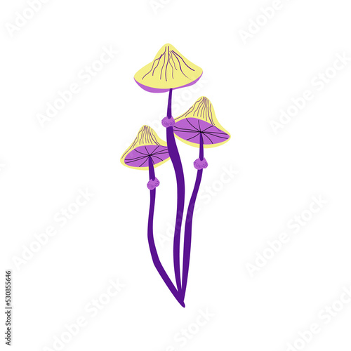 Poisonous purple mushrooms. Hand drawing. Vector illustration. For the design of prints, cards, flyers, clothing, packaging, brochures and covers.