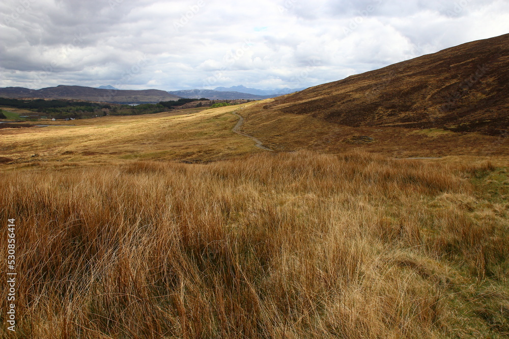 Windswept moorland at Strathaird in April (John Muir Trust, Isle of Skye Peninsula, Scotland). Windswept moorland at Strathaird in April (John Muir Trust, Isle of Skye Peninsula, Scotland).