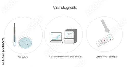 The viral detection and identification or infectious diagnosis that picture represent the testing technique : Viral culture, NAATs such as PCR or qPCR and lateral flow or rapid test