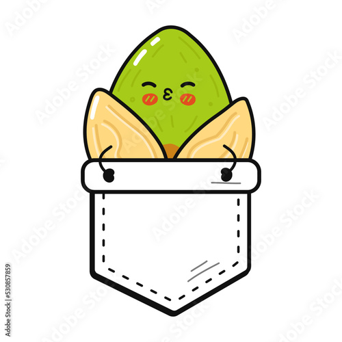 Cute funny pistachio pocket t-shirt print.Vector cartoon doodle line style character logo illustration design. Isolated white background. Funny cartoon pistachio print for pocket t-shirt