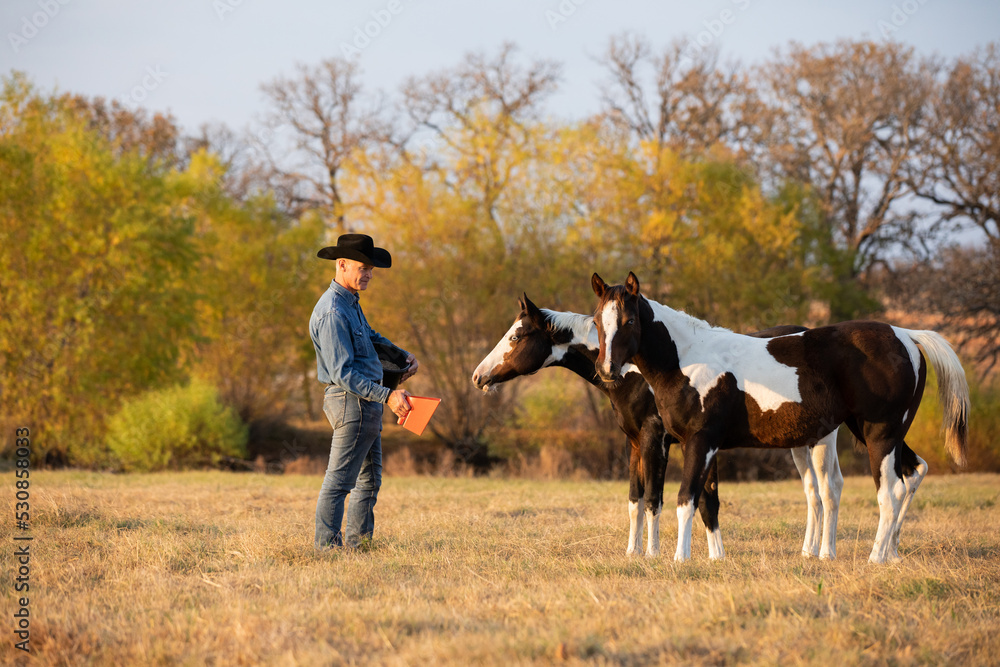 Horse Trainer with Paint Horse Horse Trainer with Paint Horse