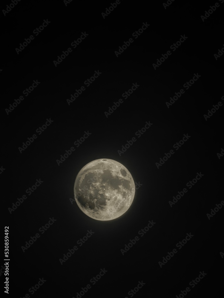 Naklejka premium Full moon in the night