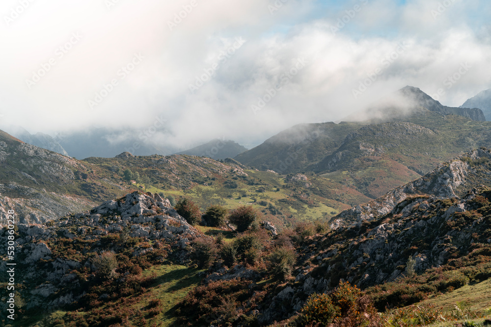 Obraz premium landscape with clouds