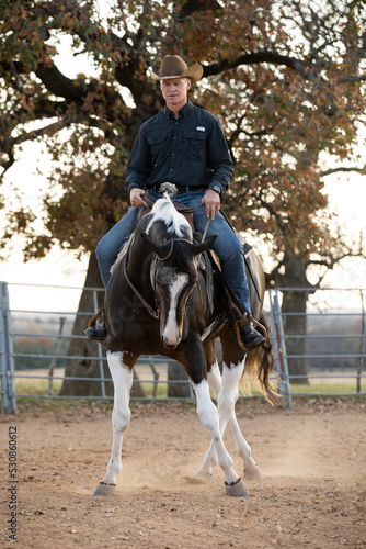 Horse Trainer with Paint Horse © Terri Cage 