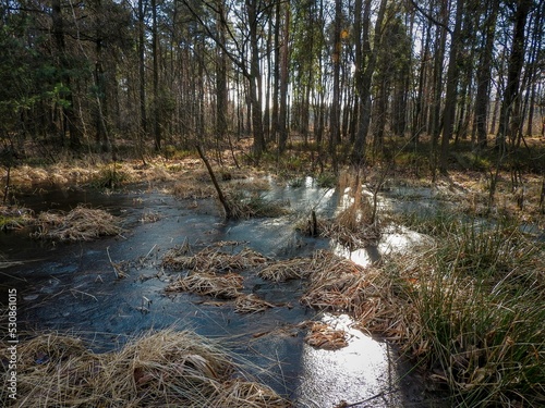 Post-industrial swamp lands near Katowice, Upper Silesia, Poland